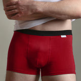 Boxer Bordo ANTON UX031